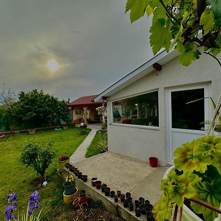 ホテル Casa Enka トゥズラ エクステリア 写真