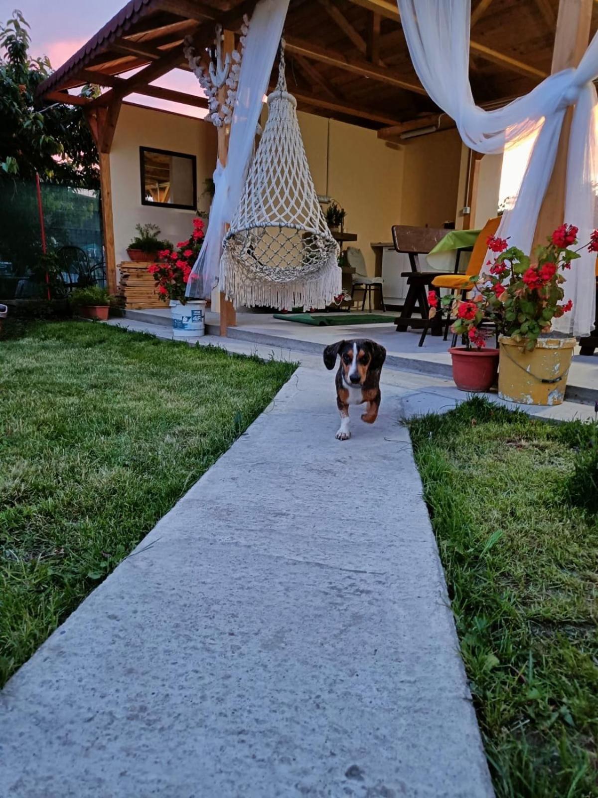 ホテル Casa Enka トゥズラ エクステリア 写真